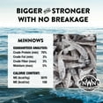 Northwest Naturals Raw Rewards DHF10 FreezeDried Minnow Treats for
