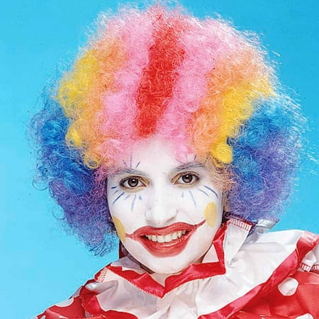 Rainbow Economy Clown Wig Adult Halloween Costume