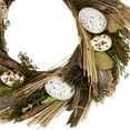 thumbnail image 3 of Northlight Speckled Eggs and Feathers Artificial Small Earthy Easter Wreath - 14", 3 of 5
