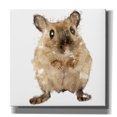 thumbnail image 1 of Epic Graffiti 'Curious Mouse' by Kim Curinga, Canvas Wall Art, 26"x26", 1 of 2