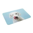 thumbnail image 2 of Bingfone Puppy Licks Nose Door Mat 16"X24" Front Entrance Non-Slip Low Profile Washable For Entryway, 2 of 9