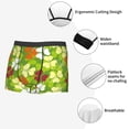 thumbnail image 3 of Pofeuu St. Patrick's Day3 Print Men’s Boxer Briefs, Moisture-Wicking Underwear, Regular,Trunk-XX-Large, 3 of 5