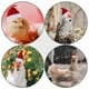 thumbnail image 2 of 2 juegos de mascotas sombrero de navidad cómodo pollo elástico sombrero de color pato de color, 2 of 5