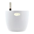 thumbnail image 1 of CAROOTU Planter Flower Pot with Water Level Indicator Modern Style Automatic Self Watered, 1 of 6