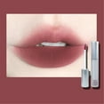 make up lip glosses Lipstick Classic Waterproof Long Lasting Smooth