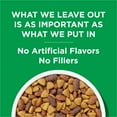 thumbnail image 3 of Purina Dog Chow Complete, Dry Dog Food for Adult Dogs High Protein, Real Chicken, 18.5 lb Bag, 3 of 10