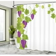 thumbnail image 5 of Ambesonne Vintage Shower Curtain, Italian Latin, 69"Wx84"L, Violet Green, 5 of 5