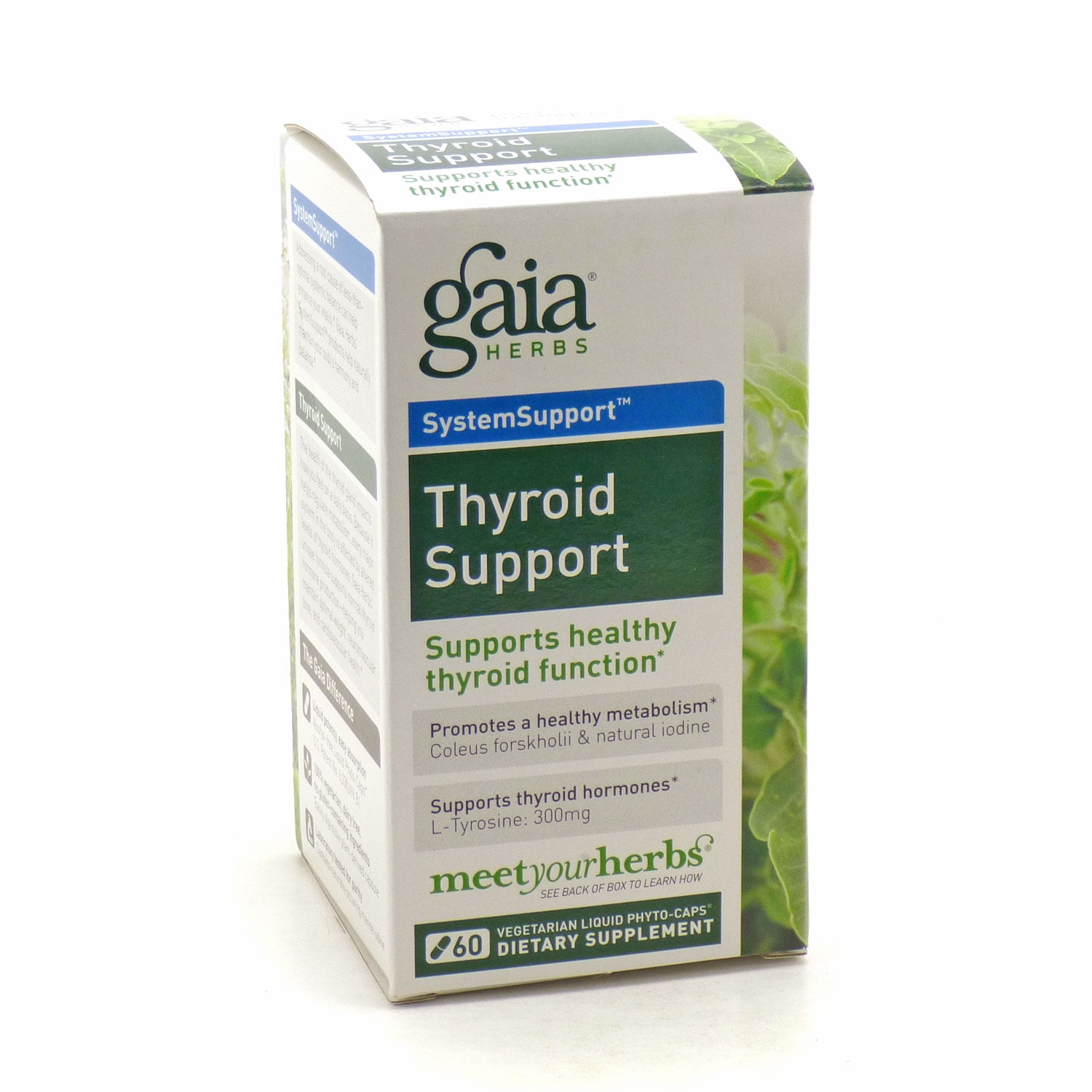 TerraVita Thyroid Support - Bugleweed, Motherwort and Lemon Balm 