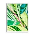 thumbnail image 5 of Stupell Industries Tropical House Plant Leaves Close Up Photography Photograph White Framed Art Print Wall Art, Design by Gail Peck, 5 of 5