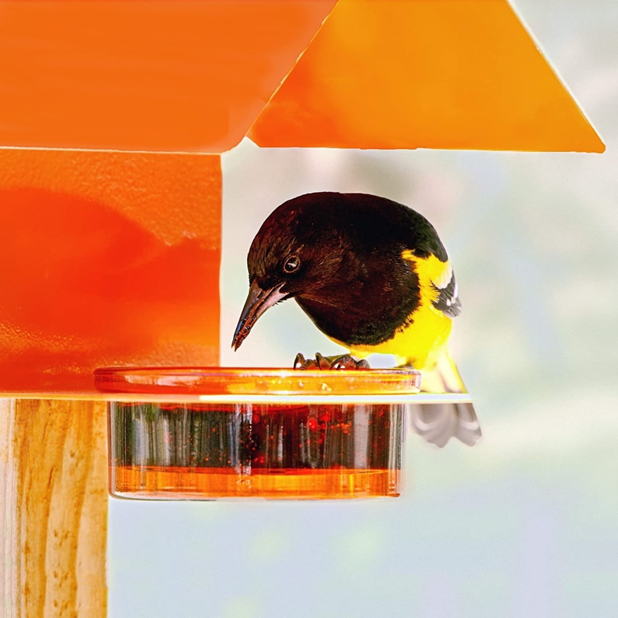 Mosaic Birds Recycled Glass & Metal Bird Feeder Outdoor - Hanging Bird House Feeder for Oriole, Finch - Orange