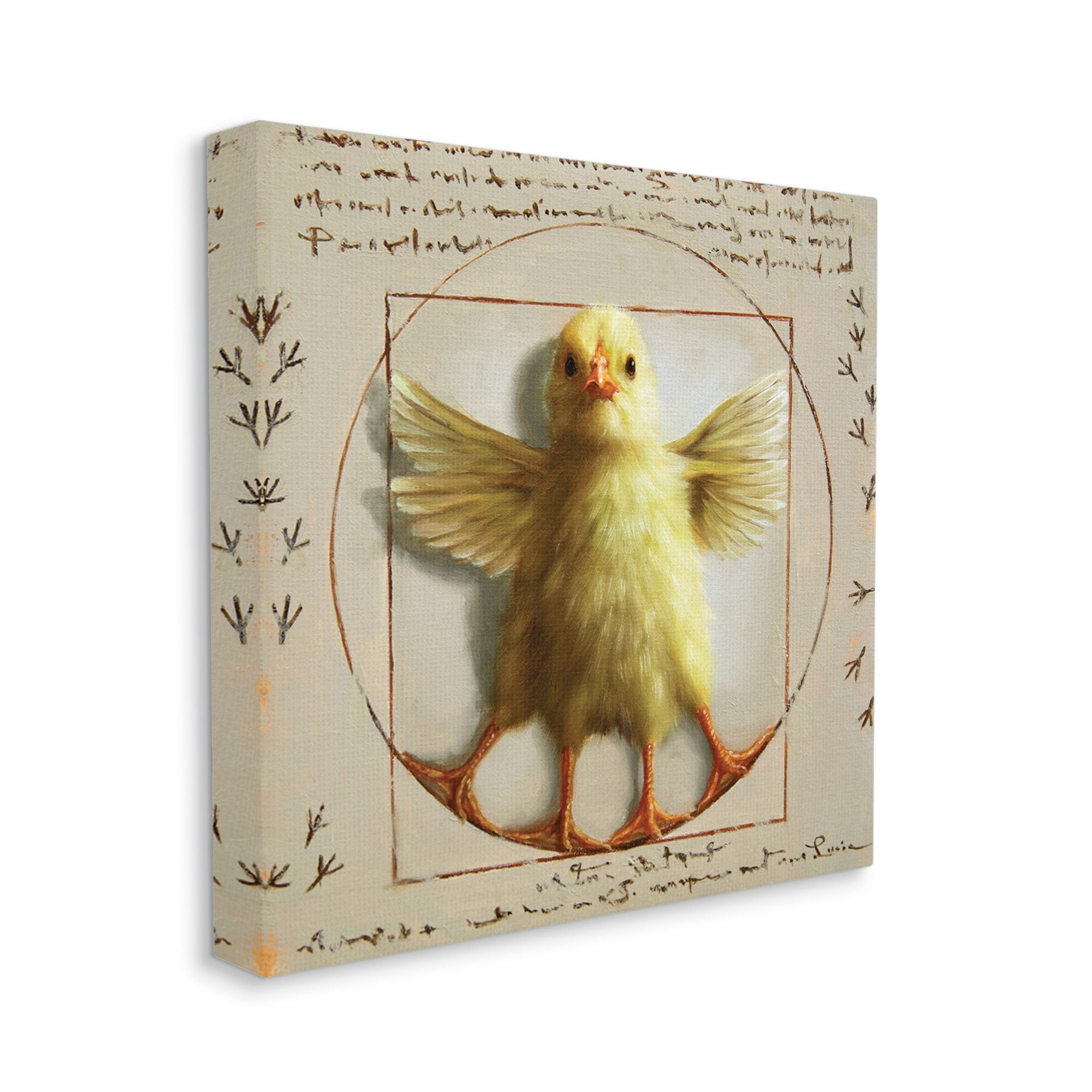Vitruvian Chick Baby Farm Chicken Animal Humor Animals & Insects Gallery-Wrapped Canvas Print Wall Art, 17x17