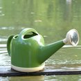 thumbnail image 6 of Large Capacity Watering Can with Long Spout - Removable Sprinkler Head Garden Watering Pot for Indoor & Outdoor Plants, Modern Plastic Watering Can for Flowers, 6 of 7