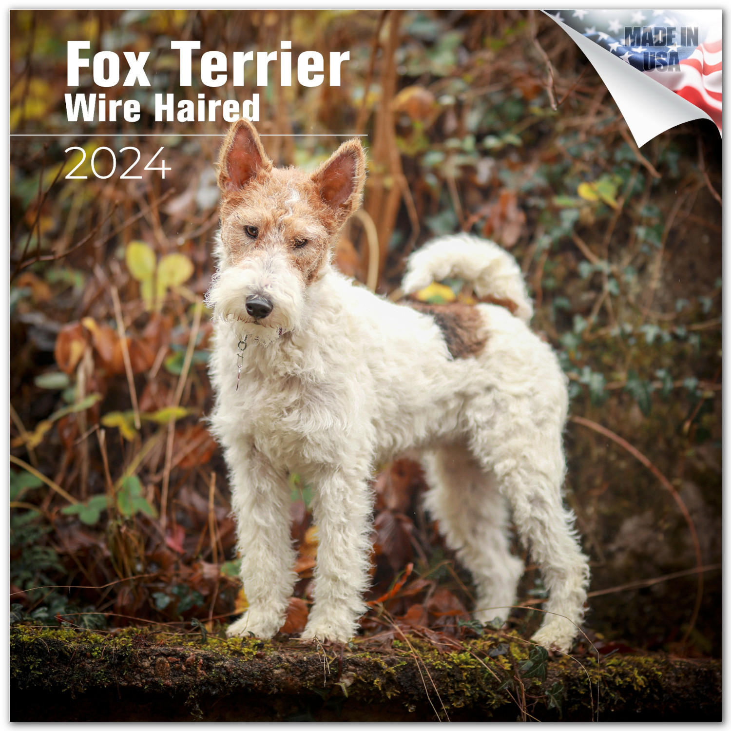 2023 2024 Wire Fox Terrier Calendar Dog Breed Monthly Wall Calendar