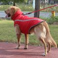 thumbnail image 2 of Labymos Reflective Waterproof Windproof Dog Coat, Autumn and Winter Thickened Warm Polyester Dog Jacket, 2 of 8