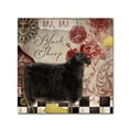thumbnail image 2 of Trademark Fine Art "Baa Baa Black Sheep" Canvas Art by Color Bakery, 2 of 2