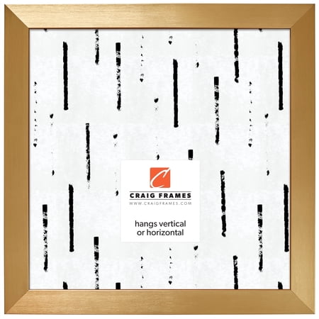 Craig Frames Modern Aesthetics 150 20x20 inch Picture Frame Gold