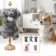 thumbnail image 3 of Pijama con capucha de forro polar súper suave para mascotas, pijama para perros pequeños y gatos, jersey, pijama para perros pequeños, mono con capucha para cachorros, mono cálido de invierno, abrigo,, 3 of 5
