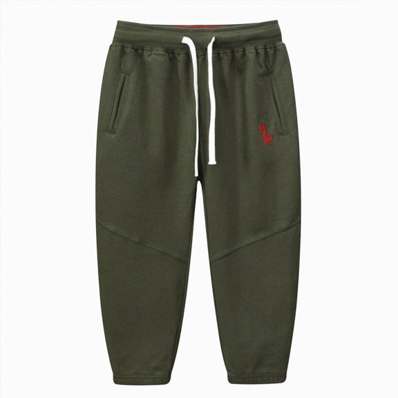 Splozh Boys Dance Pants Baby Boys Pants Toddler Cotton Pull On Jogging Pants Kids Dinosaur Drawstring Stretch Sweatpants,AG,3-4 Years