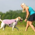 thumbnail image 6 of HQREA Dog Cooling Vest for Large Dogs, Reflective Pet Cooler Harness for Walking, 6 of 6