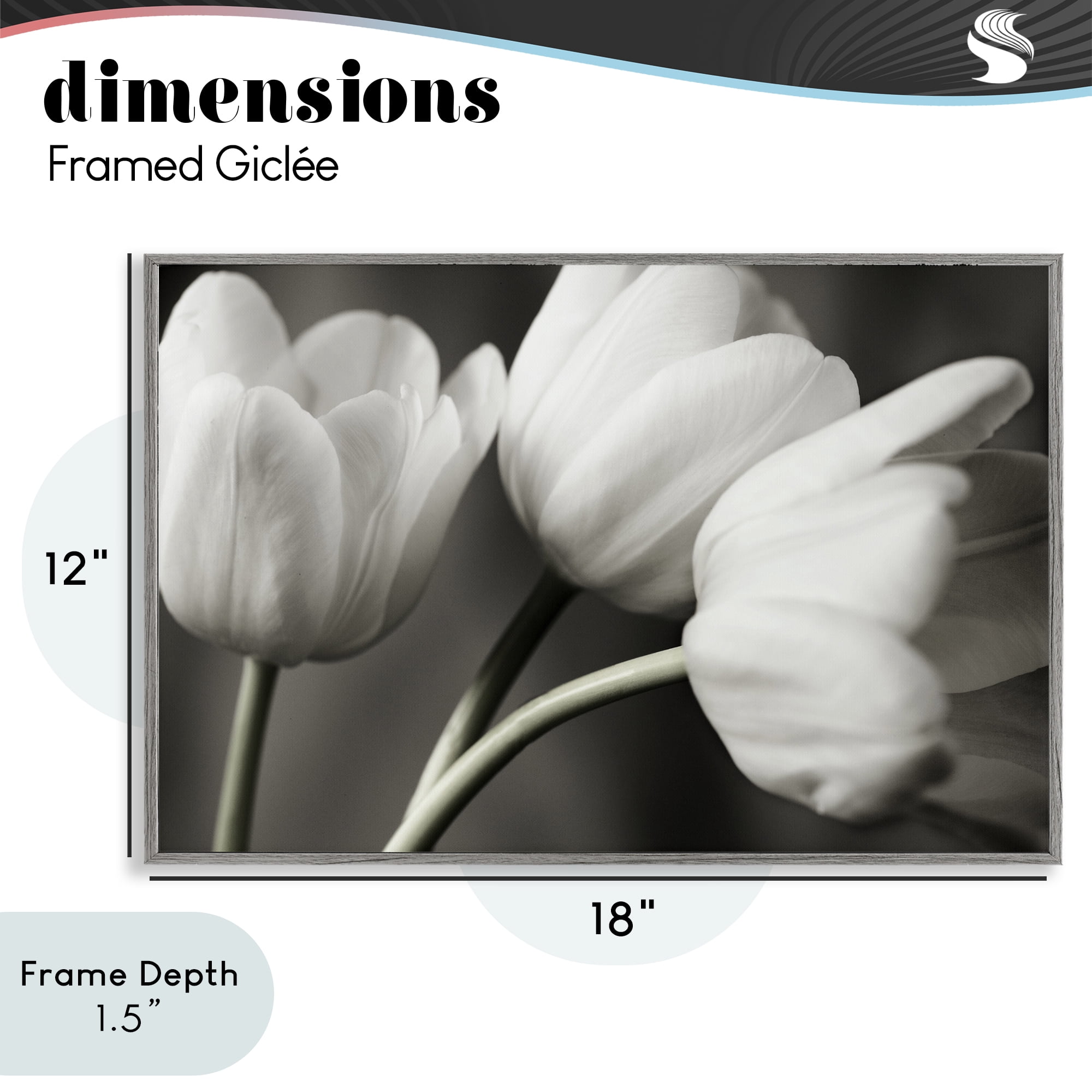 Stupell Industries Row Of Monochrome Tulips Gray Framed Giclee Art, design by Tom Quartermaine