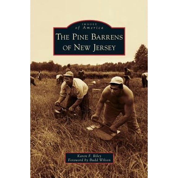 Pine Barrens of New Jersey (Hardcover)
