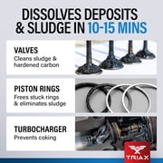 TRIAX Pro Engine Flush Oil-Based Deep Clean Motor Oil Flush Removes Sludge & Carbon (16 Ounce)
