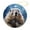 pattern-5, variant on Christmas Ceramic Ornament Marmot, Groundhog Animal Snowing Winter Christmas Bauble Marmot Gifts Christmas Xmas Tree Ornament Decoration Hanging Pendant Decor Gifts for Women Men On Christmas