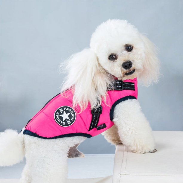 Ropa acolchada de algodón para perros de otoño e invierno, ropa gruesa para mascotas, chaleco integrado para el pecho y la espalda para perros medianos y pequeños