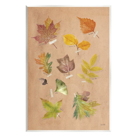 Stupell Industries Woodland Leaf Studies Botanical & Floral Painting Unframed Art Print Wall Art, 10 x 15