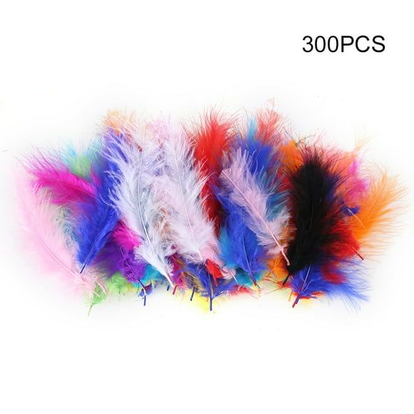 300Pcs Colorful Feathers for DIY Craft Wedding Home Party Decorations(Mixed)