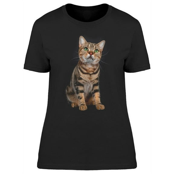 Tabby Shorhair Cat: Looking Up T-Shirt Women -Image by Shutterstock, Female Large
