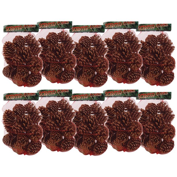 Winter Woods Cinnamon Scented Pine Cones, Large Mix, Natural Walmart