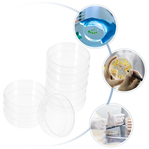 Minkissy 10Ensemble Outils Expérimentaux de Chimie Professionnelle Plateau de Stérilisation en Époxy Etéthylène pour Laboratoire