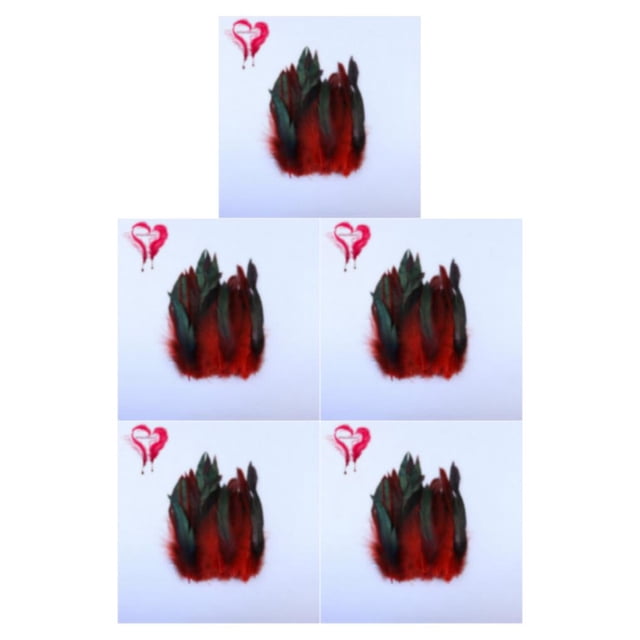 Langgg 50piece Natural Rooster Feather Craft For Exquisite Handcrafts Durability Eco-friendly Feathers 5Set
