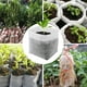 thumbnail image 1 of 500pcs Bolsas Vivero Semillas Plantas Biodegradables para Cultivo Flores (8x10 Cm), 1 of 6