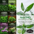 thumbnail image 3 of 5 Packs Hydroponic Herb Seed - Sage, Peppermint, Parsley, Chives, Cilantro, Basil - Full Sun Annual & More, 3 of 7