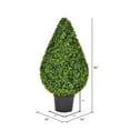 thumbnail image 3 of Vickerman 36" Artificial Boxwood Teardrop Shaped Bush, Black Plastic Pot., 3 of 6