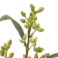 thumbnail image 3 of Bouclair Fleur Artificielle Blanche, 3 of 7