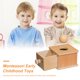 thumbnail image 3 of Herramienta Para Hornear Cajón de bolas de madera Montessori Formas educativas tempranas Clasificación Aprendizaje para niños Sywqhk libre de BPA, 3 of 9