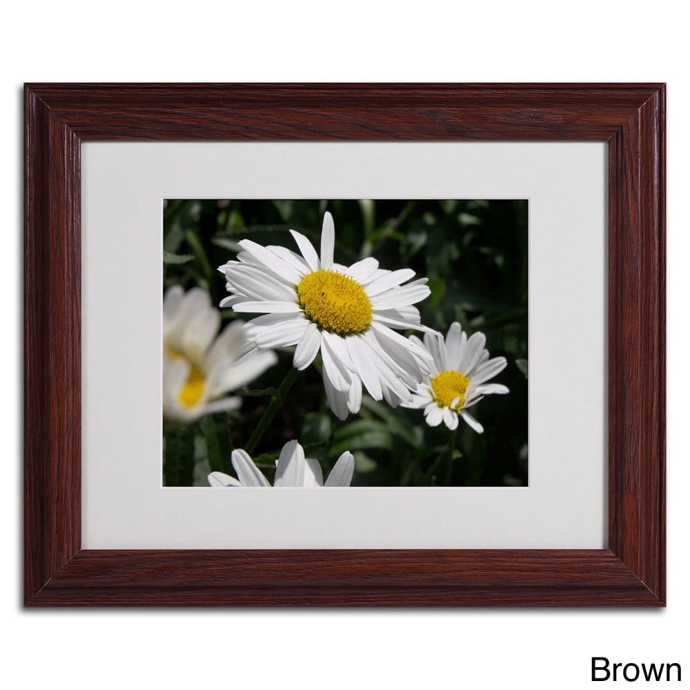 Trademark Monica Fleet "Dominating Beauty" Art White Matte W/Black Frame 16" x 20" (MF066-B1620MF)