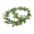 thumbnail image 1 of Simulation Olive Leaf Cane,Trim Foliage Rattan DIY Wreath Foliage Green Leaves Ribbon Decorative, 1 of 8