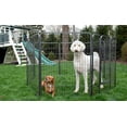 thumbnail image 5 of Iconic Pet Heavy Duty Metal Pet Playpen, 32" H, 5 of 5