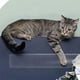 thumbnail image 5 of Cinta protectora para sofá de mascotas, parche antiarañazos para gatos, equipo de protección, película de entrenamiento, suministros para mascotas, 5 of 5