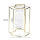 thumbnail image 3 of Glass Vase Sturdy Construction Geometric Hollow Design Iron Modern Hydroponic, 3 of 4