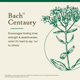 thumbnail image 3 of Bach Original Flower Remedies, Centaury - 20 mL Dropper, 3 of 6