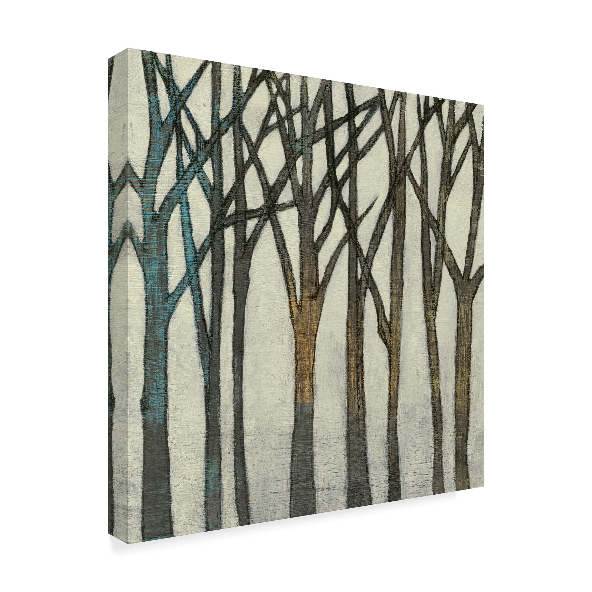Trademark Fine Art 'Birch Line II' Canvas Art by Jennifer Goldberger