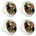 thumbnail image 2 of 4 Pcs Toucan Knobs for Kitchen Cabinet Cupboard Dresser Bookcase Drawer Pulls Handles Round Home Decor, 2 of 8
