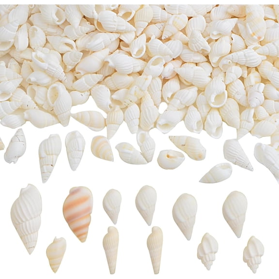 Approx 700pcs Small White Clam Cay Seashells Natural Tiny Sea Shell Mini Spiral Conch Shells Crafts Charm Accessories for DIY Fish Tank Vase Fillers Home Beach Party Decorations
