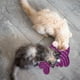 thumbnail image 3 of Spot Chupete Para Lamer, Tapete Para Lamer Para Gatos, Gatitos, Perros Y Cachorros Medianos Y Grandes, Caucho De Grado Alimenticio, Aliviador De Ansiedad, Almohadilla Para Lamer Mantequilla De Maní Pa, 3 of 5
