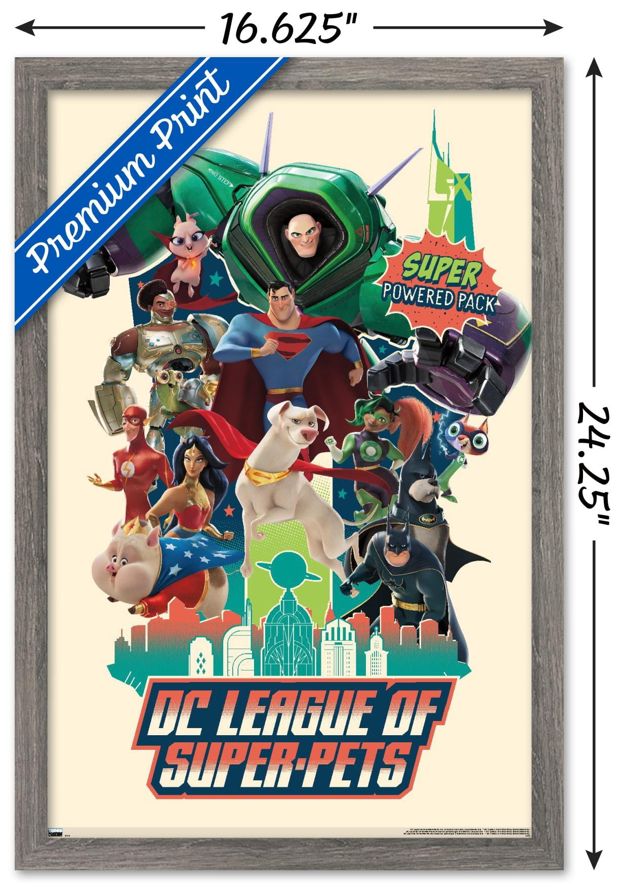 DC League of Super-Pets - Partners Wall Poster, 14.725" x 22.375" Framed